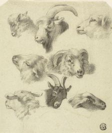 Sketches of Mountain Sheep, n.d. Creators: Charles Landseer, Edwin Henry Landseer