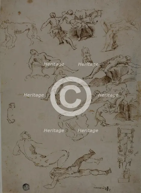 Sketches of Male Nudes, Animals, and Ornamental Details, n.d. Creator: Unknown.