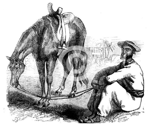 Sketches of Native Life in India - a Calcutta Syce, 1858. Creator: Unknown.