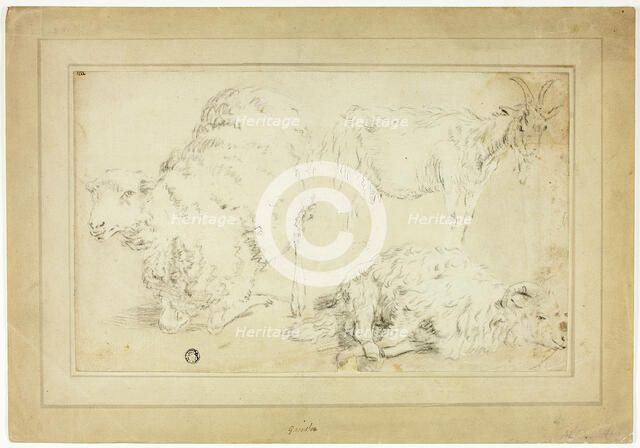 Sketches of Sheep and Goat, 18th century. Creator: Unknown.