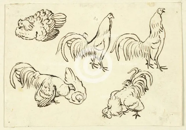 Sketches of Poultry, n.d. Creator: Henry Stacy Marks.