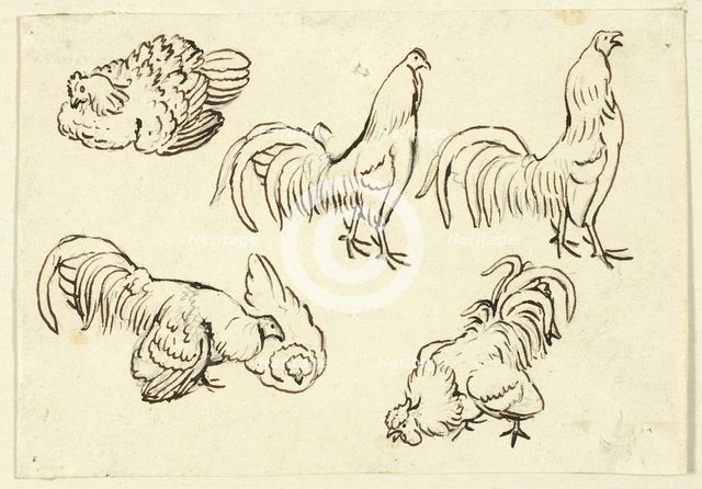 Sketches of Poultry, n.d. Creator: Henry Stacy Marks.