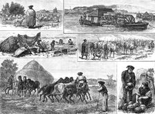 Sketches of Peasant Life in Hungary, 1883. Creator: William Michael Roberts Quick