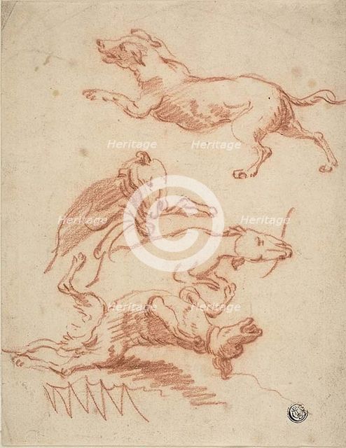 Sketches of Romping Dogs, n.d. Creator: Probably Abraham Hondius (Dutch, c. 1625-1695) or possibly Johann Elias Ridinger (German, 1698-1767) or possibly Jan Fyt (Flemish, 1611-1661).