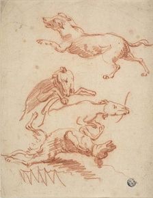 Sketches of Romping Dogs, n.d. Creator: Probably Abraham Hondius (Dutch, c. 1625-1695) or possibly Johann Elias Ridinger (German, 1698-1767) or possibly Jan Fyt (Flemish, 1611-1661)