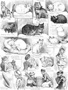 Sketches of the Cat Show at the Crystal Palace, 1883. Creator: Unknown