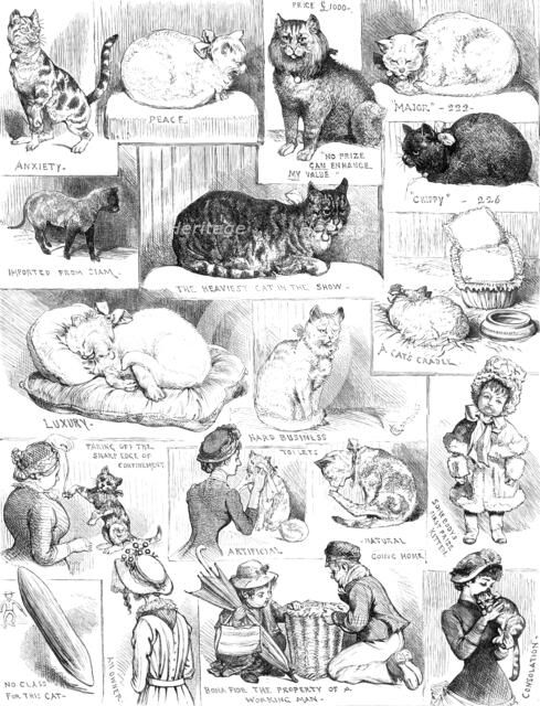 Sketches of the Cat Show at the Crystal Palace, 1883. Creator: Unknown.