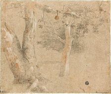 Sketches of Trees, n.d. Creator: Cristofano Allori