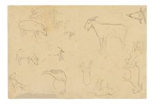 Sketches of Various Animals and Head (recto), Sketches of a Head, Figure in Profile, An..., 1891/93. Creator: Paul Gauguin