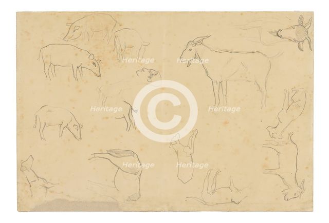 Sketches of Various Animals and Head (recto), Sketches of a Head, Figure in Profile, An..., 1891/93. Creator: Paul Gauguin.