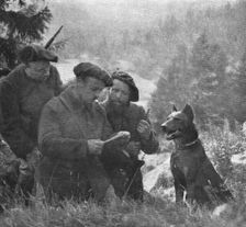 Skieurs et chiens de guerre dans les neiges vosgiennes; Arrivee d'un chien de liaison..., 1916. Creator: Unknown