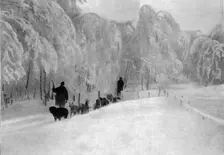 Skieurs et chiens de guerre dans les neiges vosgiennes; Equipage de chiens de transport..., 1916. Creator: Unknown