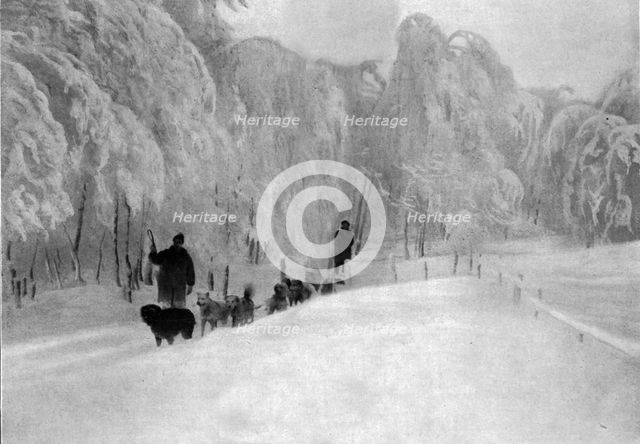 'Skieurs et chiens de guerre dans les neiges vosgiennes; Equipage de chiens de transport..., 1916. Creator: Unknown.