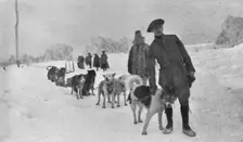 Skieurs et chiens de guerre dans les neiges vosgiennes; Le lieutenant Haas, consul de..., 1916. Creator: Unknown