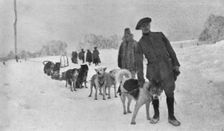 Skieurs et chiens de guerre dans les neiges vosgiennes; Le lieutenant Haas, consul de..., 1916. Creator: Unknown