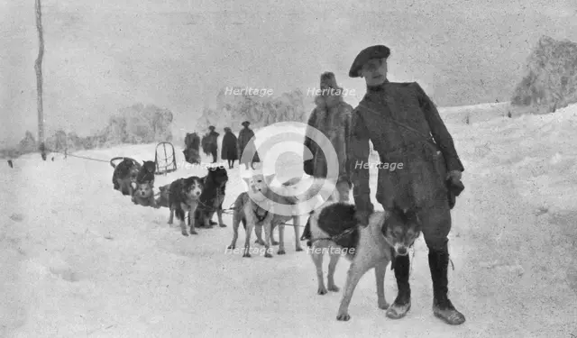 'Skieurs et chiens de guerre dans les neiges vosgiennes; Le lieutenant Haas, consul de..., 1916. Creator: Unknown.