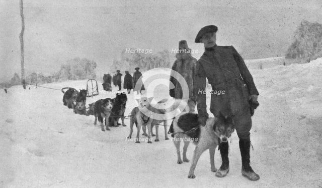 'Skieurs et chiens de guerre dans les neiges vosgiennes; Le lieutenant Haas, consul de..., 1916. Creator: Unknown.