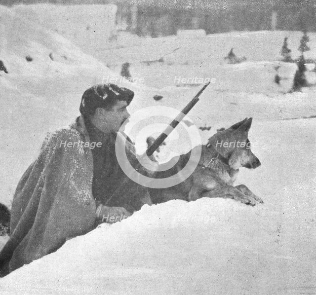 'Skieurs et chiens de guerre dans les neiges vosgiennes; Un chien esquimau en sentinelle..., 1916. Creator: Unknown.
