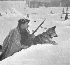 Skieurs et chiens de guerre dans les neiges vosgiennes; Un chien esquimau en sentinelle..., 1916. Creator: Unknown