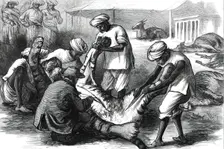 Skinning a Tiger, from a sketch by one of our special artists in India, 1876. Creator: Unknown