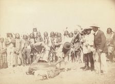 Skinning Beef, between 1887 and 1892. Creator: John C. H. Grabill