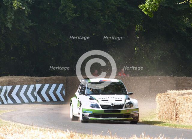Skoda Rally car 2013 Goodwood Festival of speed Artist: Unknown.