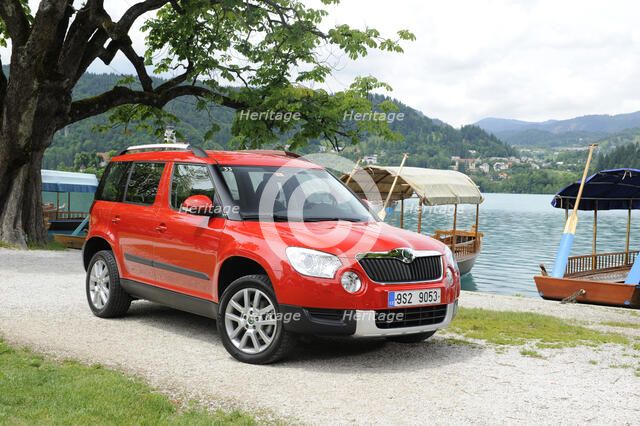 Skoda Yeti 2009. Artist: Simon Clay.