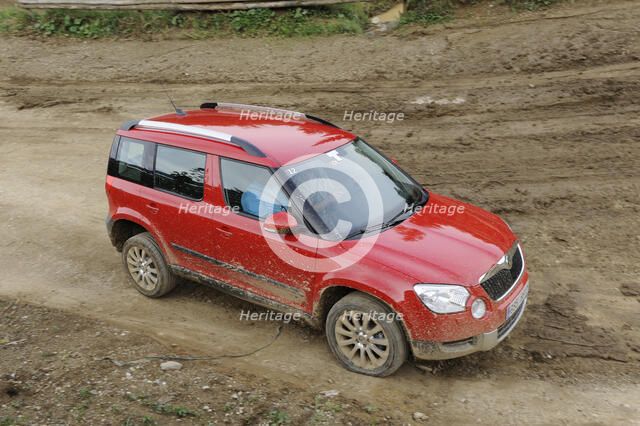 Skoda Yeti 2009. Artist: Simon Clay.
