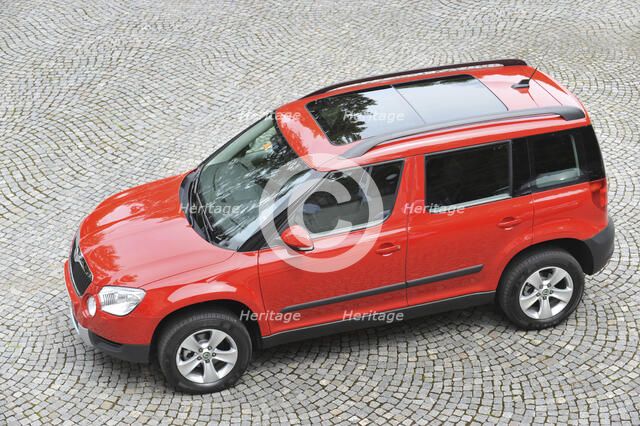 Skoda Yeti 2009. Artist: Simon Clay.