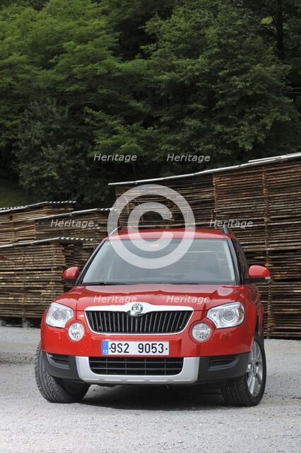 Skoda Yeti 2009. Artist: Simon Clay.