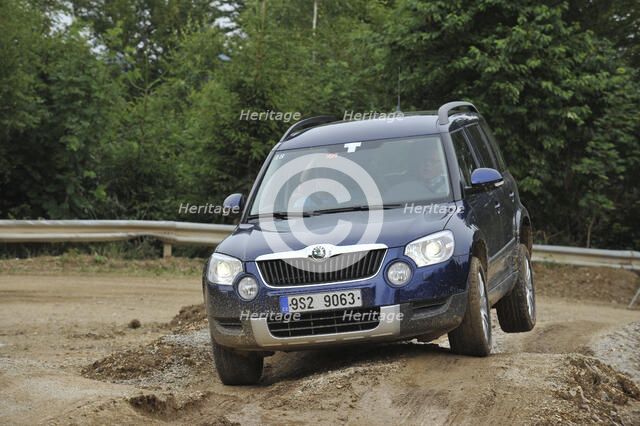 Skoda Yeti 2009. Artist: Simon Clay.