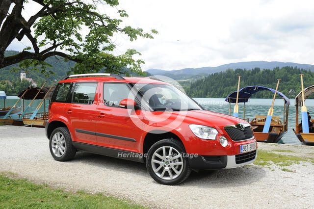 Skoda Yeti 2009. Artist: Simon Clay.