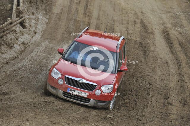 Skoda Yeti 2009. Artist: Simon Clay.