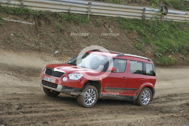 Skoda Yeti 2009. Artist: Simon Clay.