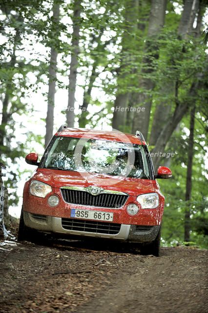 Skoda Yeti 2009. Artist: Simon Clay.