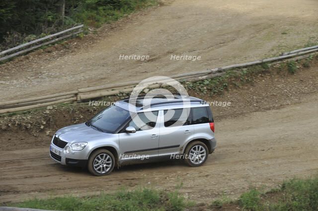 Skoda Yeti 2009. Artist: Simon Clay.