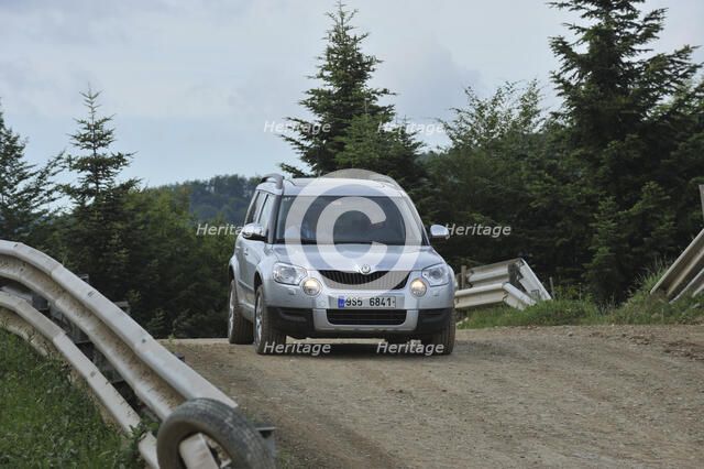 Skoda Yeti 2009. Artist: Simon Clay.