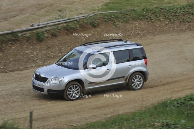 Skoda Yeti 2009. Artist: Simon Clay.