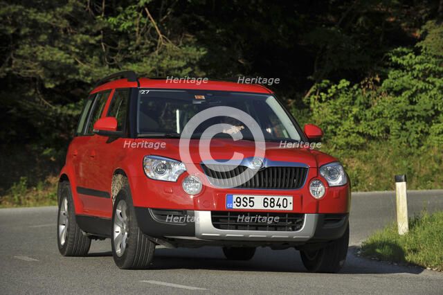 Skoda Yeti 2009. Artist: Simon Clay.