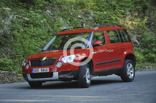 Skoda Yeti 2009. Artist: Simon Clay.