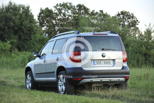 Skoda Yeti 2009. Artist: Simon Clay.