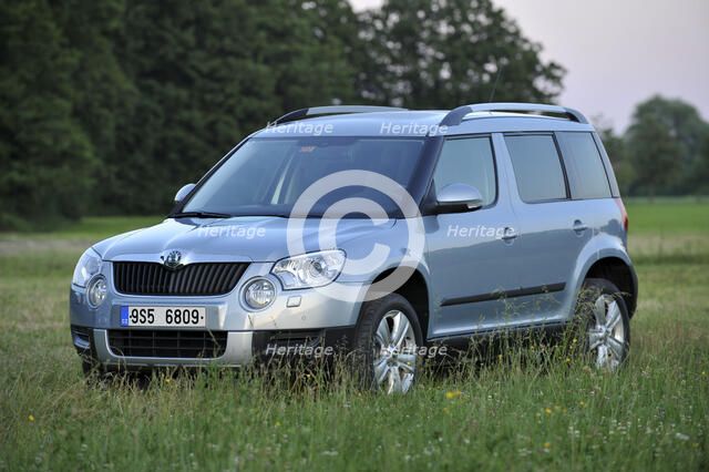 Skoda Yeti 2009. Artist: Simon Clay.