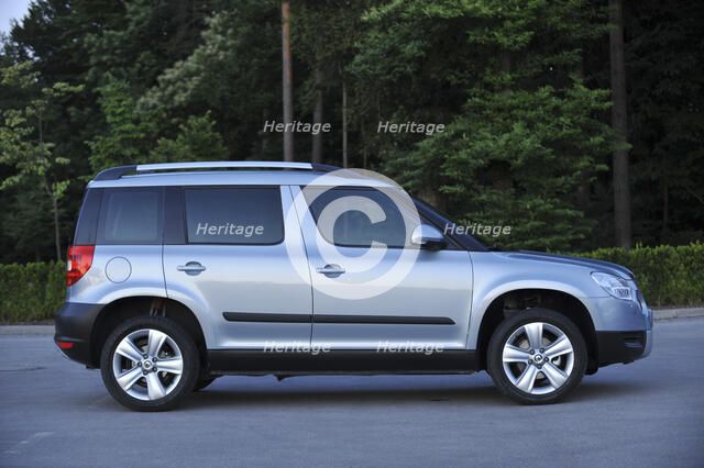 Skoda Yeti 2009. Artist: Simon Clay.