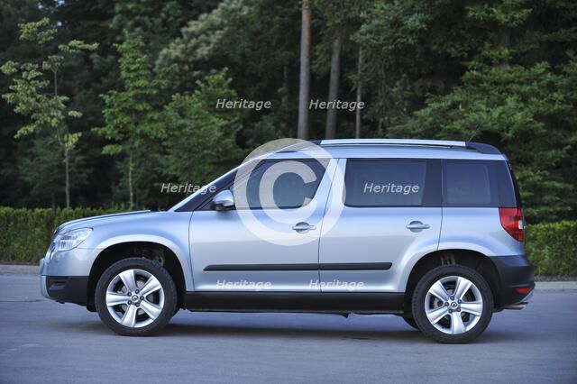 Skoda Yeti 2009. Artist: Simon Clay.