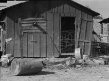 Slums of Brawley, Imperial Valley, California, 1936. Creator: Dorothea Lange