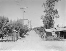 Slums of Brawley, Mexican field workers homes, Imperial Valley, California, 1936. Creator: Dorothea Lange