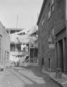 Slums of San Francisco, California, 1935. Creator: Dorothea Lange