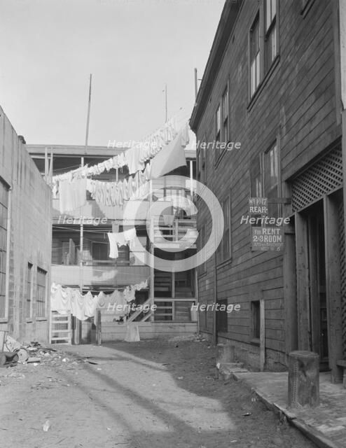 Slums of San Francisco, California, 1935. Creator: Dorothea Lange.