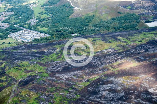 Slatepit Moor burned by wildfires, Tameside, 2018 . Creator: Emma Trevarthen.