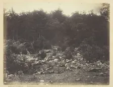 Slaughter Pen, Foot of Round Top, Gettysburg, July 1863. Creator: Alexander Gardner